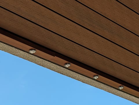 Underside of wooden eaves with metal fasteners against clear blue sky