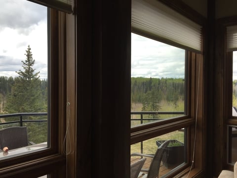 Interior view through large brown-framed windows showing forested landscape with trees under cloudy sky