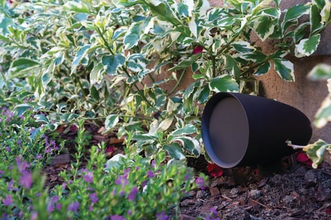 Black cylindrical pot lying on its side in a garden bed surrounded by green foliage and purple flowers
